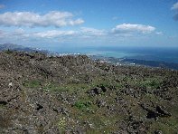 iara Scorciavacca-20110306 118